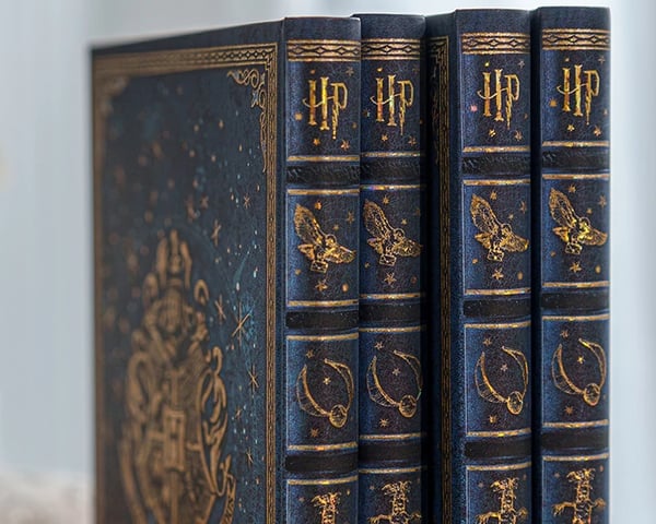 Legends of Hogwarts Carousel 3